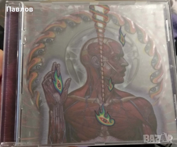 Лот оригинални компактдискове на Tool, снимка 7 - CD дискове - 52990428