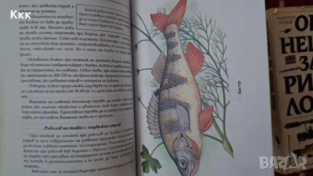Две книжки за риболов, снимка 8 - Такъми - 47542358