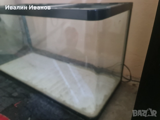 Терариум ( аквариум), снимка 3 - Терариуми и оборудване - 52508722