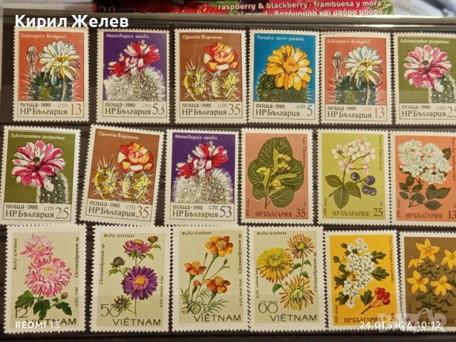 Стари пощенски марки без печат ЦВЕТЯ ВИЕТНАМ,НРБ за КОЛЕКЦИЯ 52072, снимка 10 - Филателия - 53208310