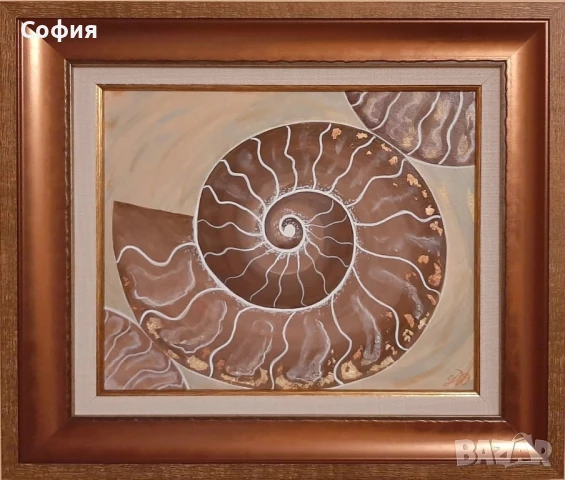 Картина "Амонити"