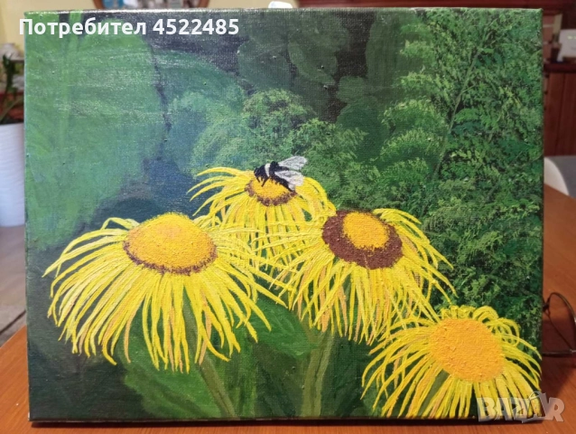 малки слънца в планината