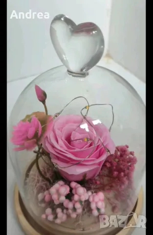 Вечна роза в стъкленица