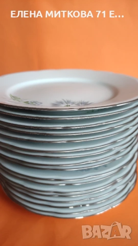 *Limoges France*чинии за основно и супа от блестящ бял порцелан платинен кант, снимка 6 - Чинии - 52136600