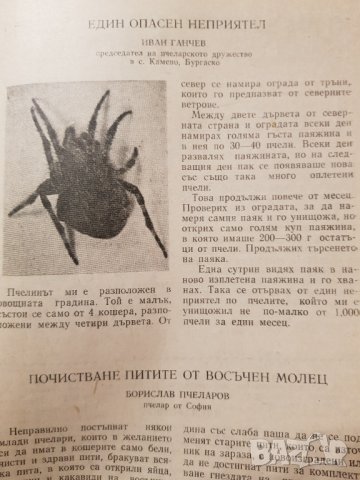 Списание "Пчеларство" 1959 година, снимка 6 - Антикварни и старинни предмети - 34984750