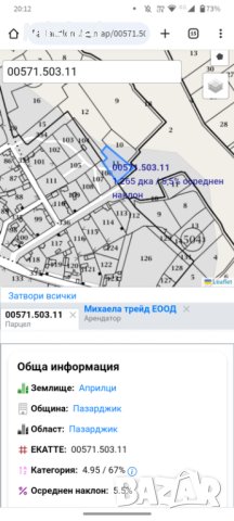 Парцел  - област Пазарджик , снимка 11 - Земеделска земя - 41517005