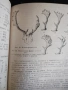 Подборен отстрел на едрия дивеч / Н.Ботев, И.Колев,П.Драгоев , снимка 8