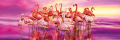  пъзел Clementoni от 1000 части - розовите фламинга РОЗОВО ФЛАМИНГО , снимка 2
