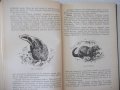 Книга "Справочник охотника и рыболова-Сборник" - 424 стр., снимка 5