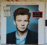 Rick Astley - Hold Me In Your Arms, снимка 1 - Грамофонни плочи - 44068615