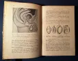 Стара Книга Ръководство по Половия Въпрос Д-р Вандер 1946 г., снимка 4