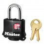 Катинар Master lock за огради, складове, помощни помещения, снимка 1 - Други - 39779893