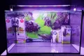 Аквариум 63 литра /Промо сет /, снимка 1