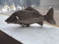 Шаран риба фигура статуетка, снимка 2