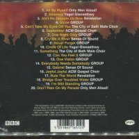 Last Choir standing, снимка 2 - CD дискове - 37742596