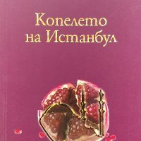 Копелето на Истанбул - Елиф Шафак, снимка 1 - Художествена литература - 39767920