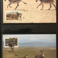 Namibia 1991 - 4 броя Карти Максимум - WWF, снимка 2 - Филателия - 38789048