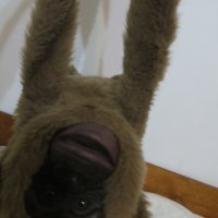 Плюшена маймуна за театър, снимка 4 - Плюшени играчки - 43147081