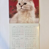 Стенен календар 2011 Котки, снимка 4 - Други - 38776717