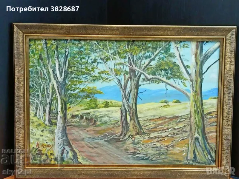 ПЕЙЗАЖ, снимка 1