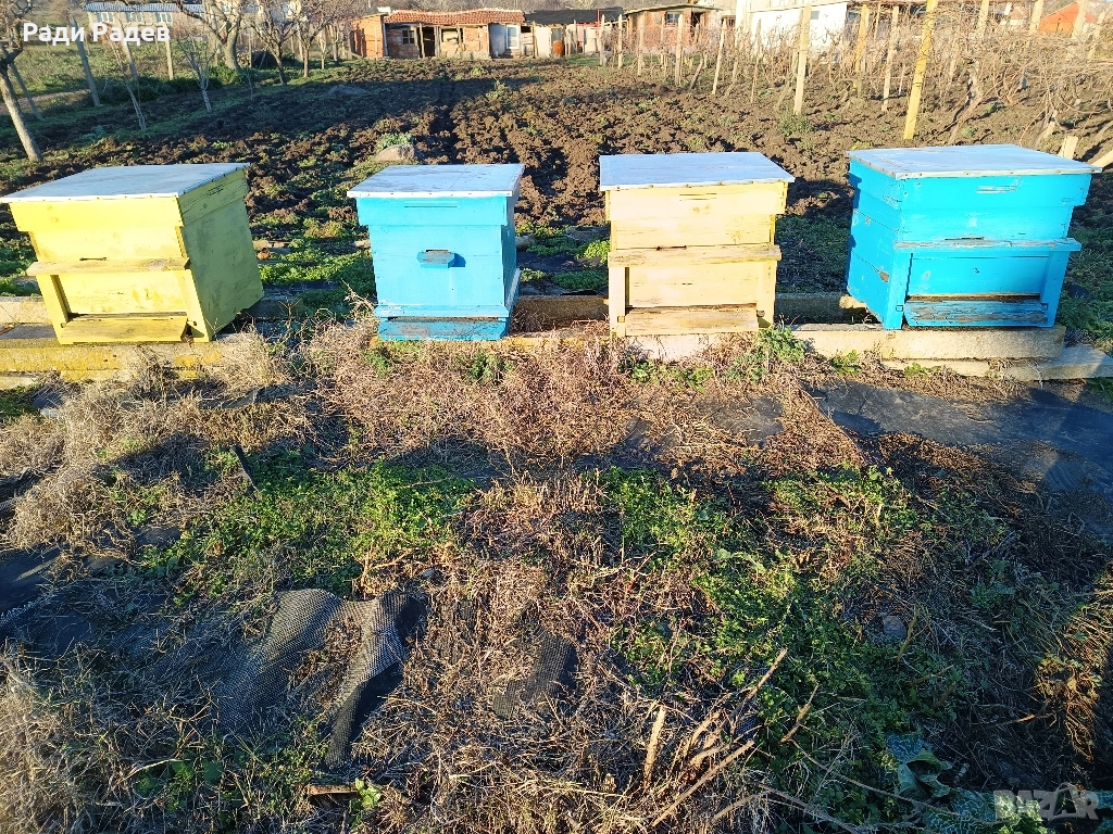 Кошери Дадан блат, снимка 1