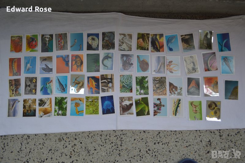 Стикери БИЛА, снимка 1