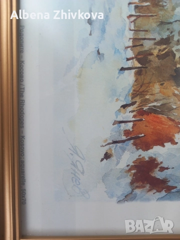 две картини рамкирани под хелеоматично стъкло, снимка 6 - Картини - 52051713