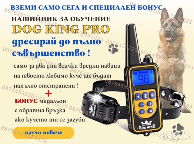 Електронен нашийник за куче , снимка 1 - За кучета - 41461853