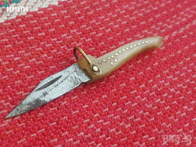 Малка ножка сойка