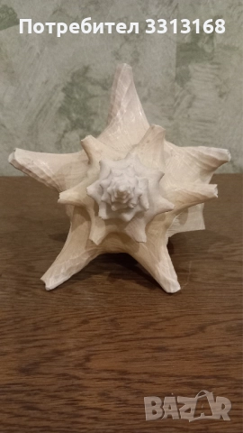 Раковина , снимка 4 - Декорация за дома - 52192622