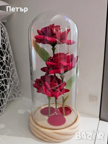 Светещи вечни рози 