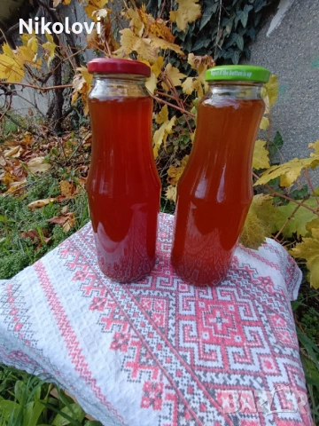 Домашен сироп от диви шипки с разреждане , снимка 5 - Домашни продукти - 53135711