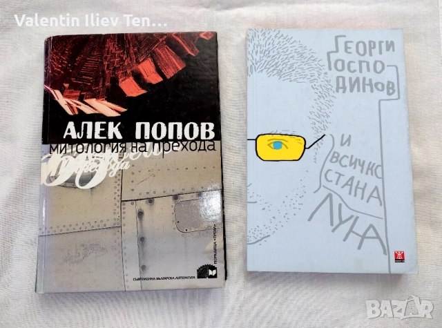 Стари учебници и антикварна литература, снимка 10 - Учебници, учебни тетрадки - 46409965