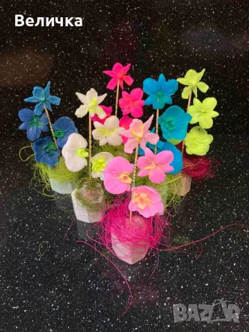 сапунени Орхидеи. , снимка 4 - Други - 48827188