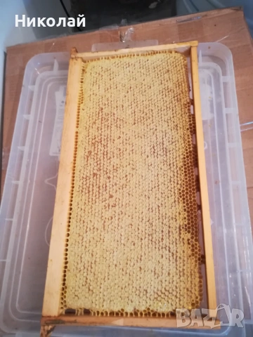 Акациев мед ,мед от акация,пчелен прашец , клеева тинктура, снимка 6 - Пчелни продукти - 52769396