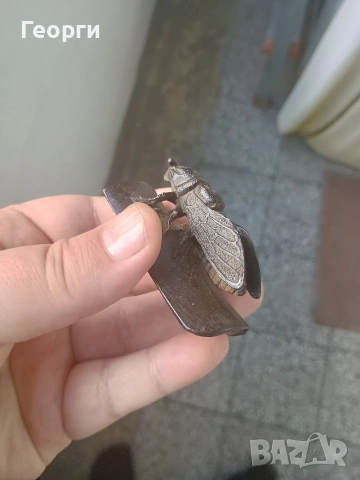 Бронзова цикада, снимка 12 - Колекции - 53095714