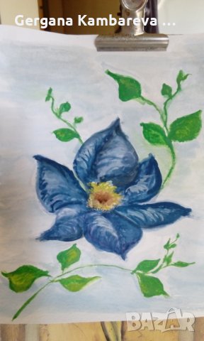 Акварел Клематис