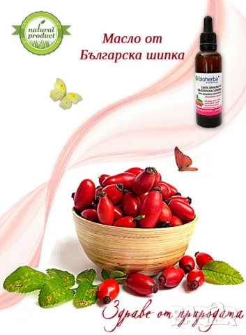 МАСЛО ОТ БЪЛГАРСКА ШИПКА , снимка 4 - Други - 44286020