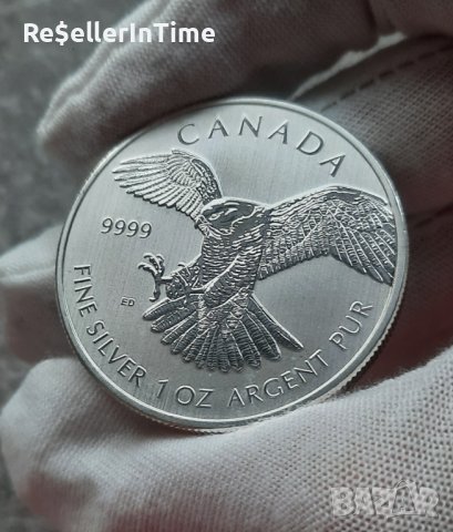 Инвестиционна сребърна монета 1 унция 5 Dollars - Elizabeth II Peregrine Falcon