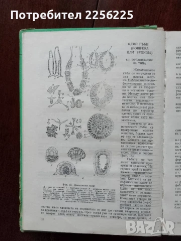 Зоология, снимка 5 - Специализирана литература - 50776539