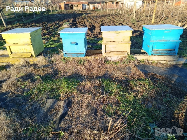 Кошери Дадан блат