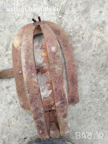 Стар вълчи капан, снимка 6 - Антикварни и старинни предмети - 53062198