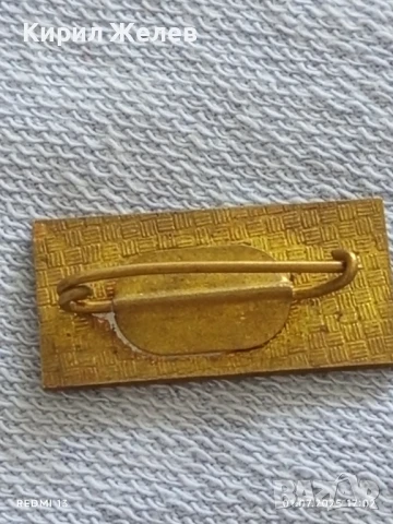 Лот значки 6 броя стари редки ЛЕВ ТОЛСТОЙ за КОЛЕКЦИЯ ДЕКОРАЦИЯ 25318, снимка 10 - Колекции - 50864077