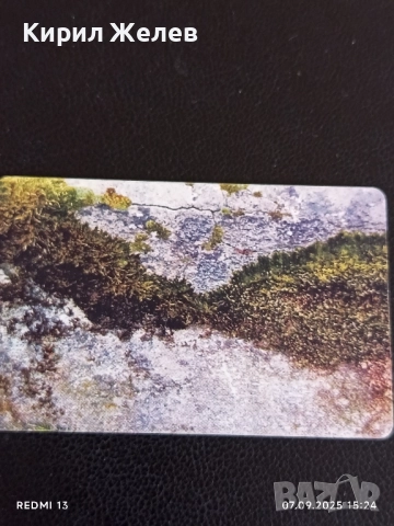 Три фонокарти МОБИКА, БУЛ ФОН тема ШЕЛ ФЕРАРИ,ПЕЙЗАЖИ за КОЛЕКЦИЯ ДЕКОРАЦИЯ 42421, снимка 9 - Колекции - 51633247