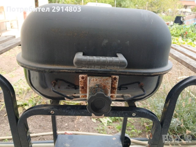 барбекю, снимка 3 - Барбекюта - 52531668