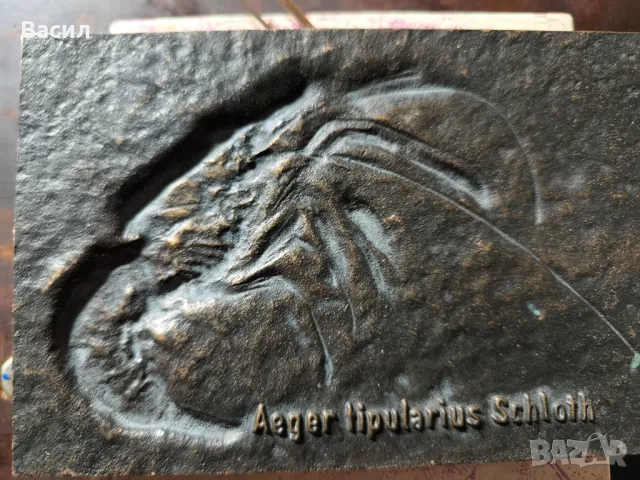 бронзов плакет , снимка 3 - Колекции - 47972043