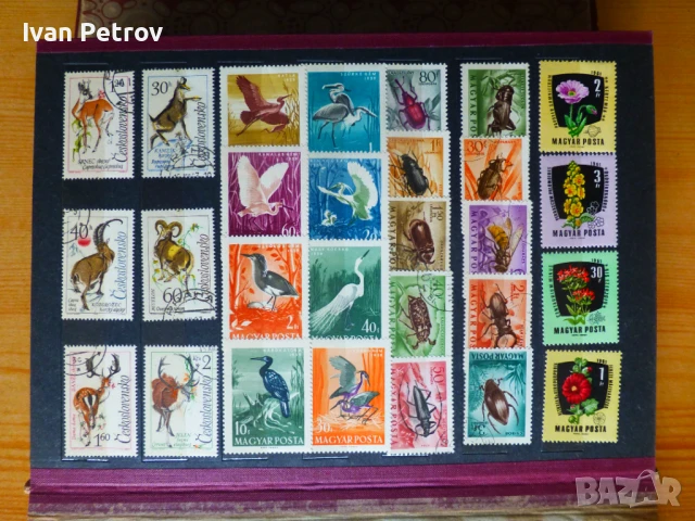 Продавам серии пощенски марки „Животни и растения“, снимка 12 - Филателия - 50960831