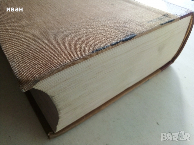 Die Chirurgie - Band V- Kirschner, M. und O. Nordmann - 1927 г., снимка 15 - Антикварни и старинни предмети - 36460717