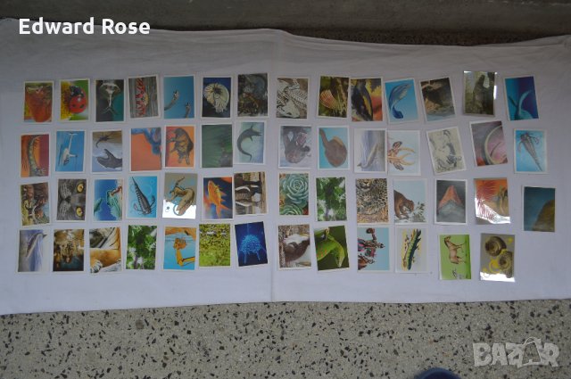 Стикери БИЛА