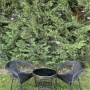 Градински Ратанов Комплект Oasis 2 стола с маса + поставка, снимка 1